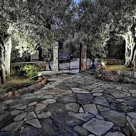 Elaion Thea-Nies Vila Sourpi Exterior foto