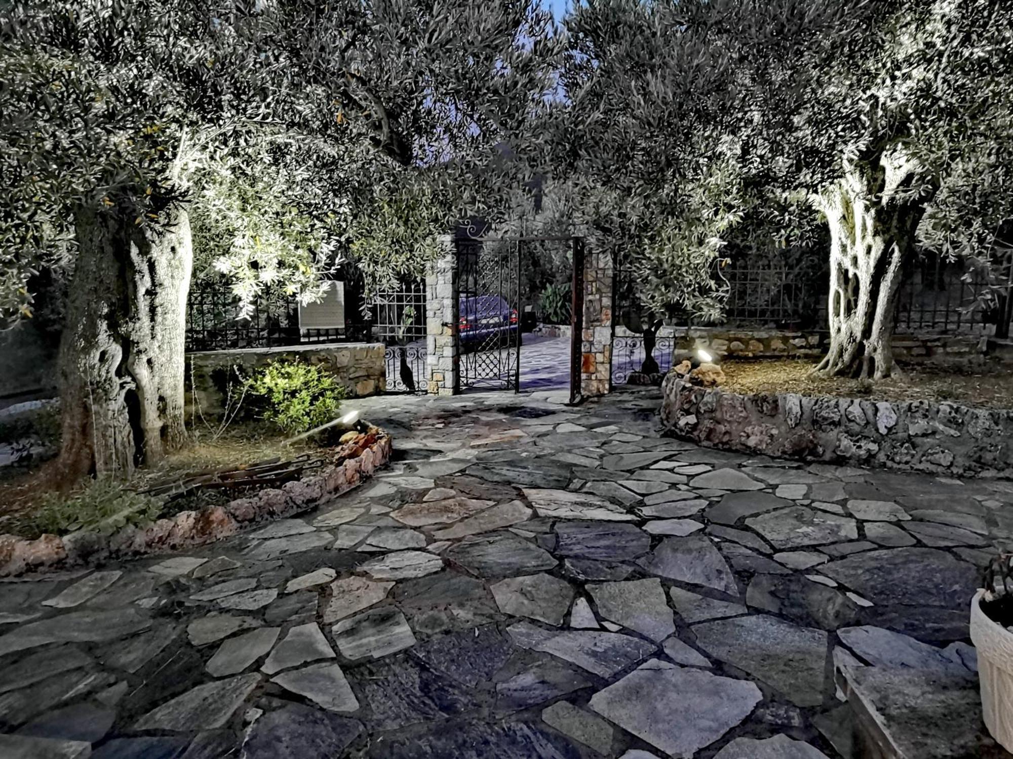 Elaion Thea-Nies Vila Sourpi Exterior foto